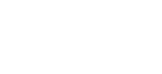 Shisso Logo